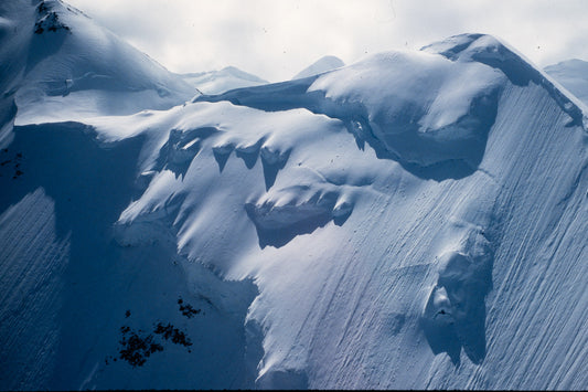 Alaska 1985: Print 04