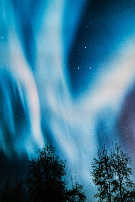Alaska 1985: Print 05