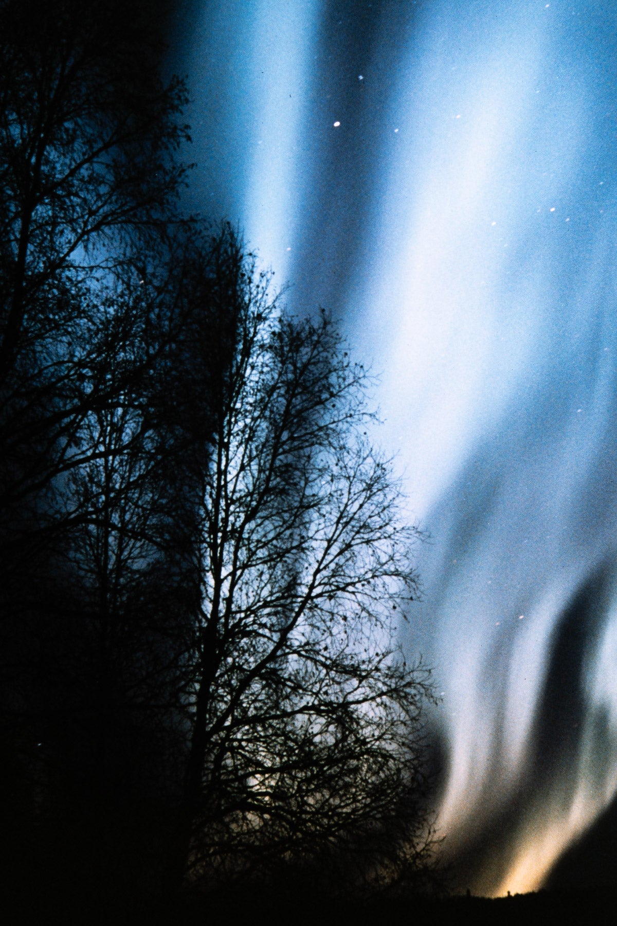 Alaska 1985: Print 06