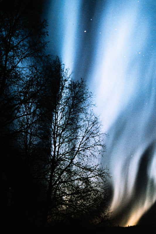 Alaska 1985: Print 06