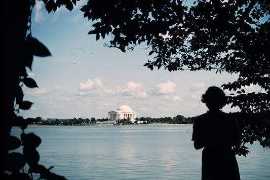 DC 1949: Print 04