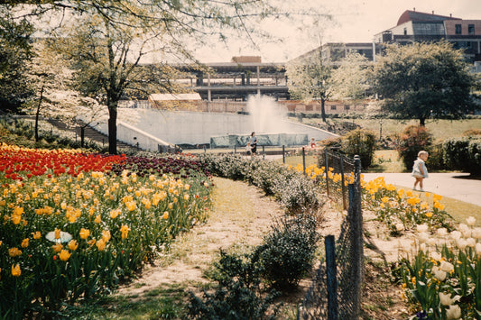 Flowers: Print 02