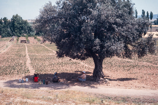 Greece 1974: Print 14