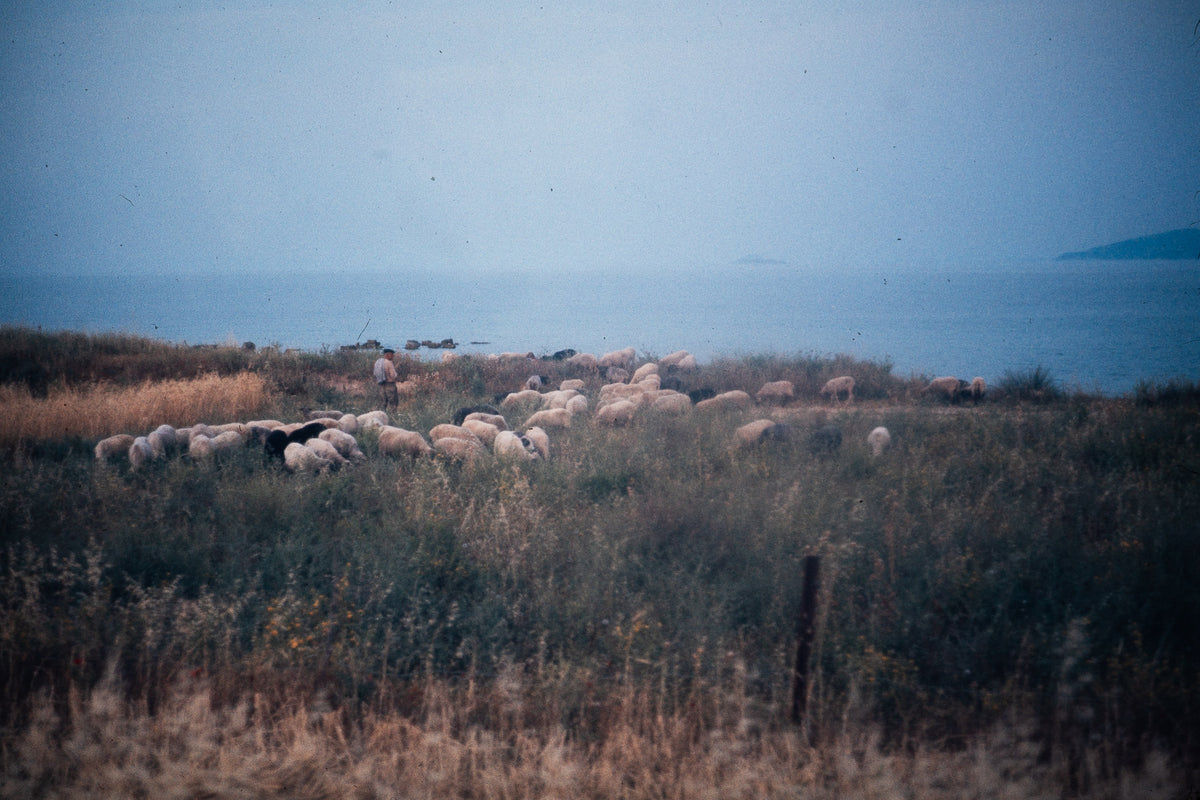 Greece 1974: Print 02