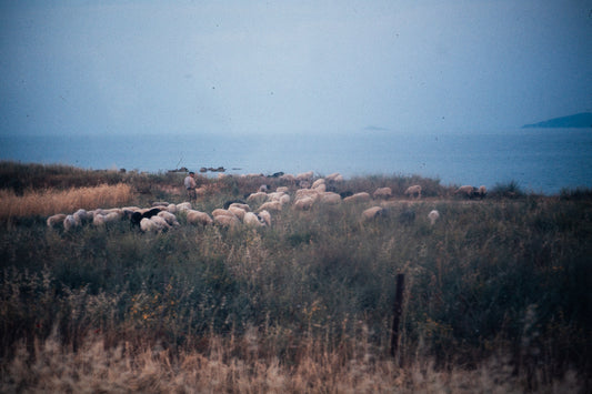 Greece 1974: Print 02