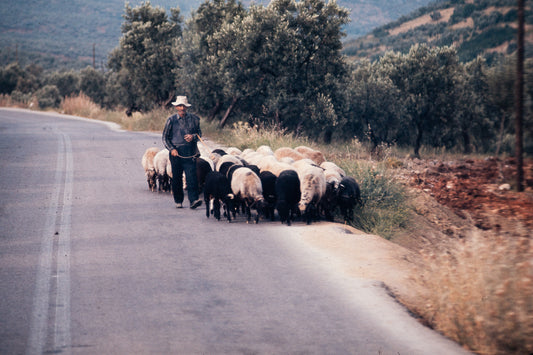 Greece 1974: Print 06